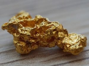 Gold Nugget